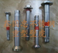 瑞安振武供應優質不銹鋼加長膨脹螺絲，為建筑材料注入持久穩固力量